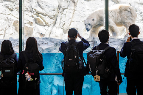男鹿水族館GAO