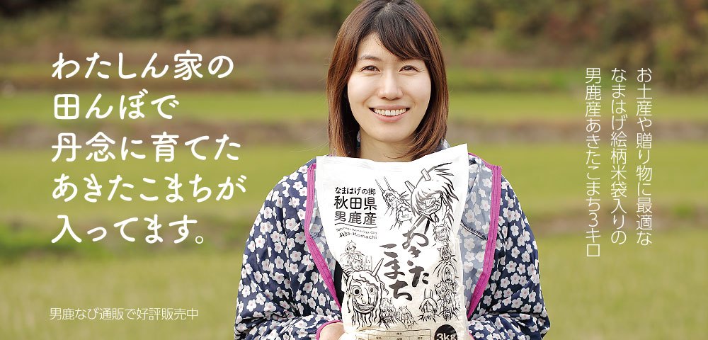 なまはげの郷秋田県男鹿産あきたこまち 3kg