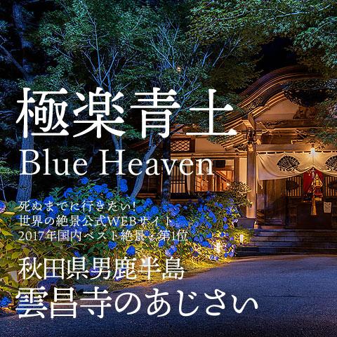 雲昌寺のあじさい特別拝観