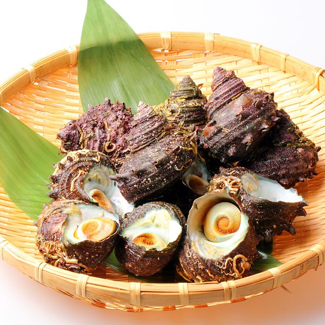 【夏季限定】男鹿産天然サザエ(大)1kgでおよそ7~8個前後