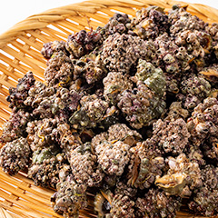 【夏季限定】男鹿の夏の風物詩ニシガイ(レイシガイ) 小~中サイズ/1kg(80~100個前後)