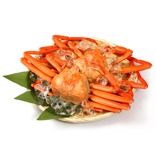 男鹿沖産 紅ズワイガニ 600g前後×2匹