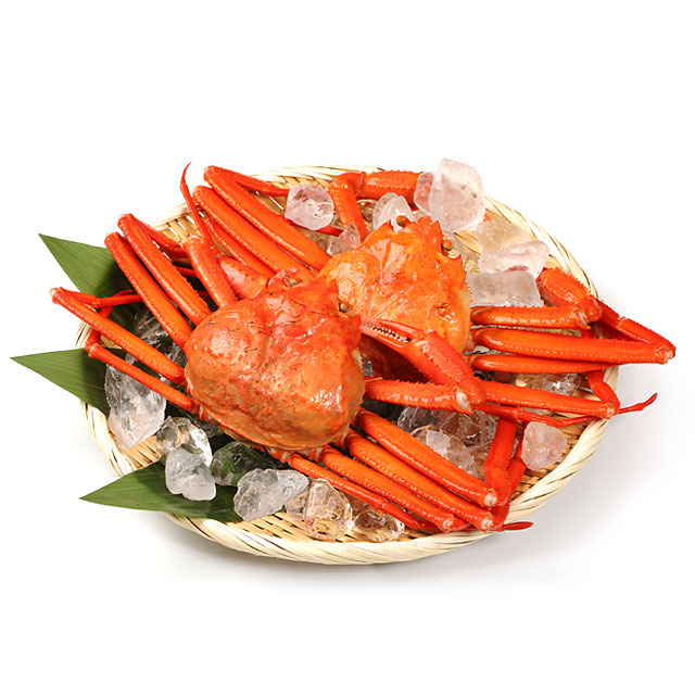 男鹿沖産 紅ズワイガニ 550g前後×2匹