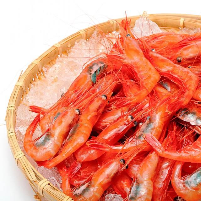 萬漁水産 男鹿産 甘エビ(赤えび) 1kg (生・冷蔵)|男鹿なび通販