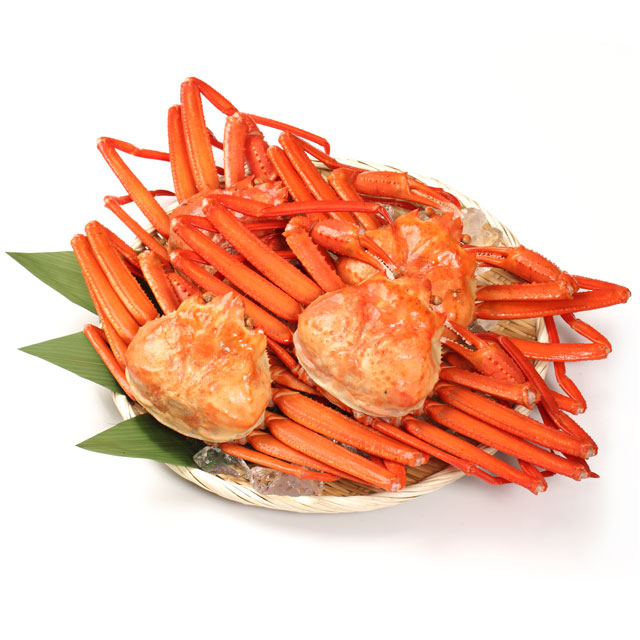 男鹿沖産 紅ズワイガニ 550g前後×4匹