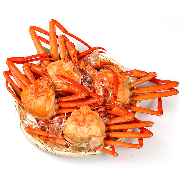 男鹿沖産 紅ズワイガニ 600g前後×4匹