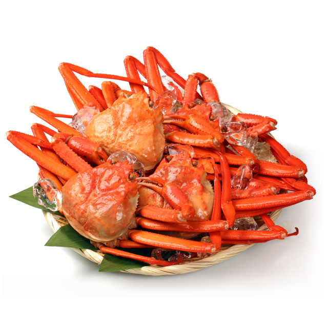 男鹿沖産 紅ズワイガニ 700g前後×4匹