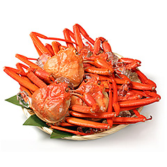 男鹿水産 男鹿沖産 紅ズワイガニ 600g前後 2匹 男鹿なび通販 男鹿水産 男鹿沖産 紅ズワイガニ 600g前後 2匹 男鹿なび通販