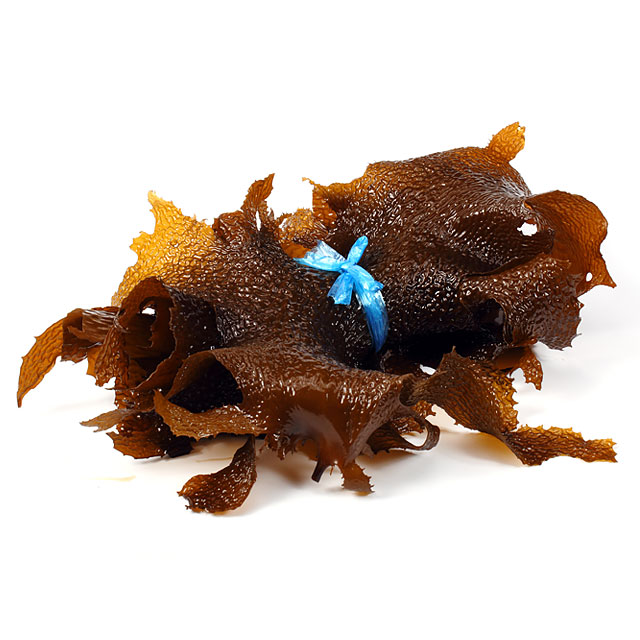 男鹿産 天然生アラメ 300g