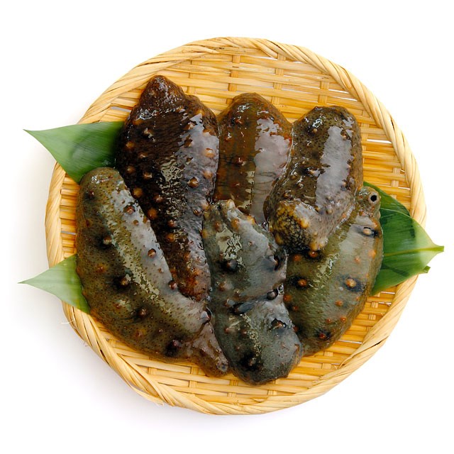 【冬季限定】男鹿の手獲り生ナマコ 青ナマコ 約1kg