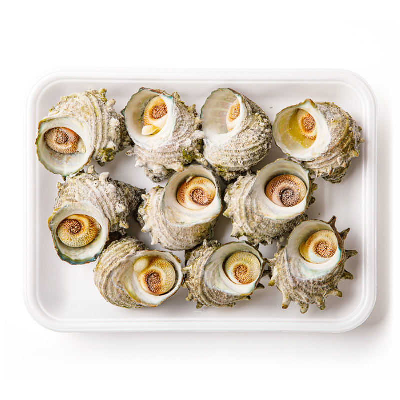 【CAS冷凍】ボイルさざえ10kg(1kg×10)(中サイズ/1kgあたり9~12個入)【業務用】