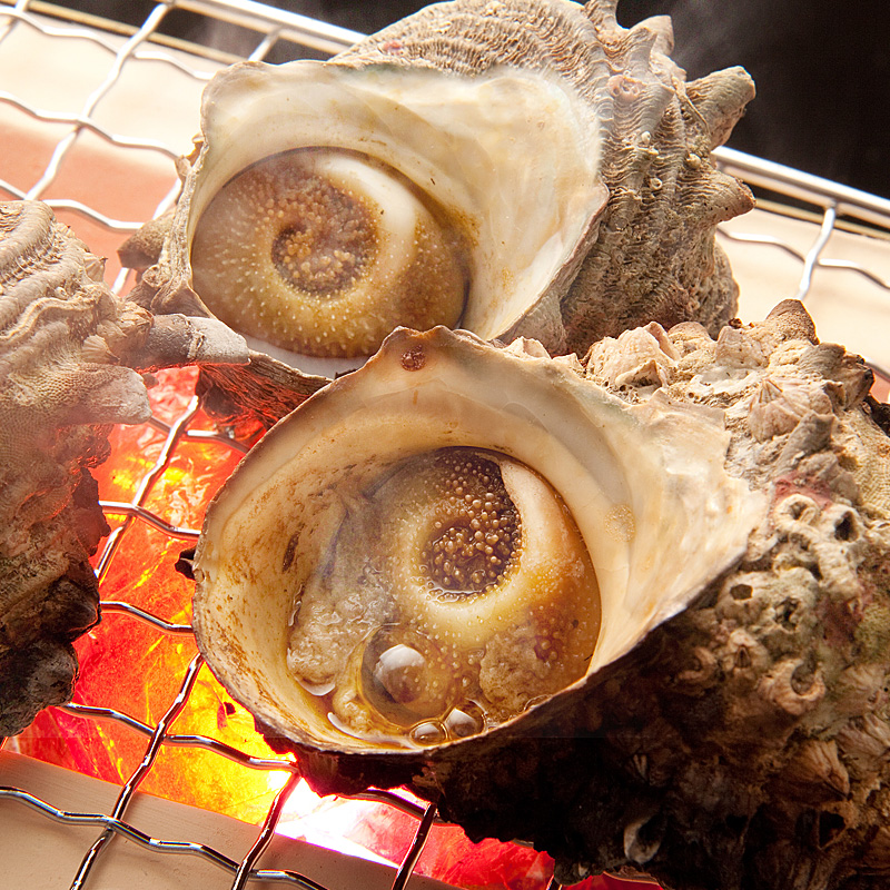 【CAS冷凍】ボイルさざえ10kg(1kg×10)(中サイズ/1kgあたり9~12個入)【業務用】