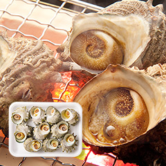 【CAS冷凍】ボイルさざえ10kg(1kg×10)(中サイズ/1kgあたり9~12個入)【業務用】