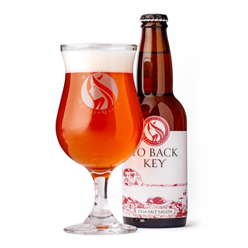 男鹿産クラフトビール TO BACK KEY 330ml×6本