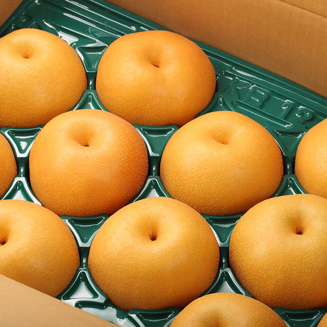 【数量限定】男鹿梨 南水 5kg(5~14玉) ※期間限定/10月中旬~下旬頃の出荷予定